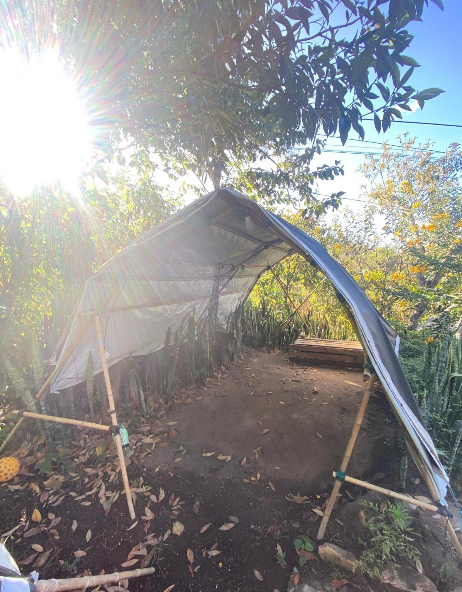 Camping Filhos Da Floresta - Vale Do Capao Ngoại thất bức ảnh